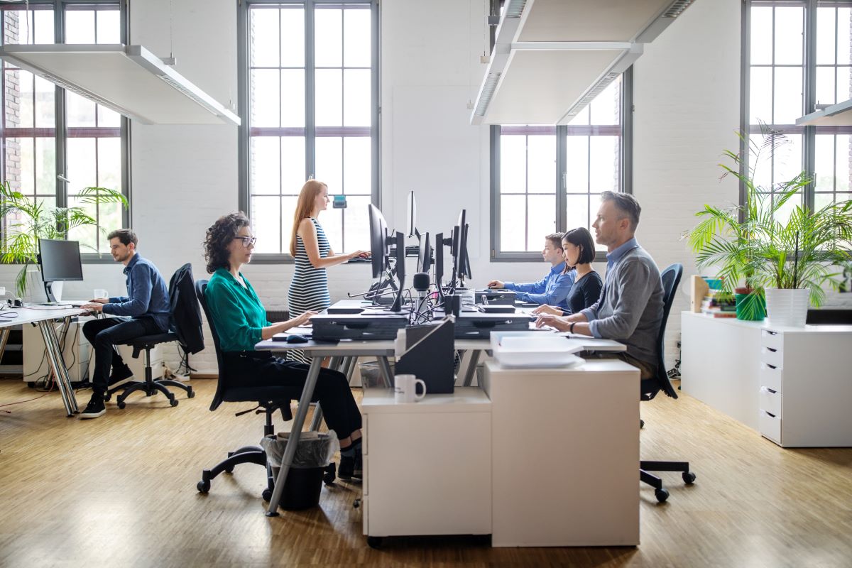 employees working in modern open plan office space with large windows and clean wooden floor